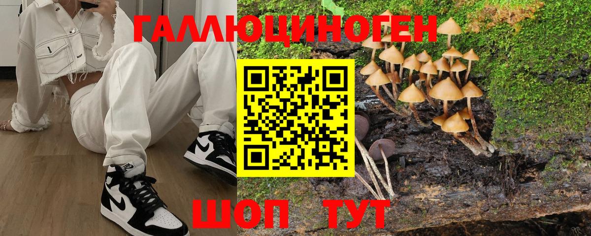 Галлюциногенные грибы Psilocybe  Вход с VPN  Кизилюрт  Галлюциногенные грибы MAGIC MUSHROOMS 