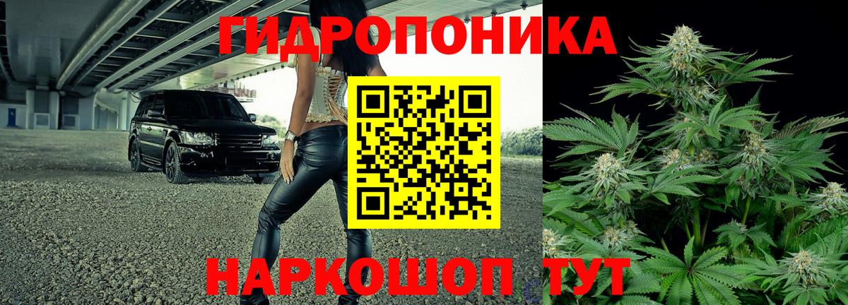Кизилюрт  Канабис марихуана  Вход с VPN  Шишки марихуана марихуана 